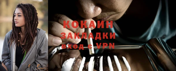 стафф Алексин
